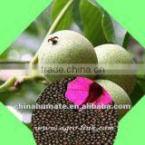 China Compound Humic Acid NPK Fertilizer
