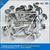 Low Price Polished Umbrella Head Roofing Nails /galvanized Surface Treatment Nails thumbnail-1