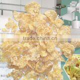 Factory in Jinan China Competitive Original Corn Flakes Machine thumbnail-6