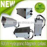 Greenhouse 600w Magnetic Ballast for Hydroponics Indoor Plant Growth thumbnail-1