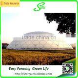 Single Span Vegetable Film Greenhouse for Sale thumbnail-2