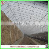 High Quality Single/multi-span Agricultural Plastic Houses for Sale thumbnail-4