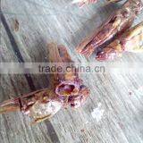 Pet Bird Food Microwave Dried Grasshopper thumbnail-4