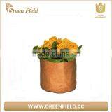 Vegetable Grow Pots Garden Bag Planter Garden Kraft Paper Grow Bags thumbnail-4