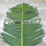 Artificial Palm Leaf Factory Top Sale New Product Artificial Coconut Leaf thumbnail-6