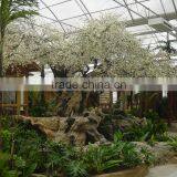 Landscape Artificial Forest Style Ancient White Blossom Tree