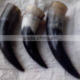 Viking Drinking Horns With Natural Surface thumbnail-1