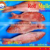 WHOLE FROZEN RED MULLET thumbnail-4