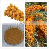 Seabuckthorn Fruit Extract Powder, Hippophae Rhamnoides Extract Powder thumbnail-1