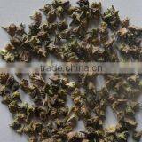 Tribulus Extract thumbnail-2