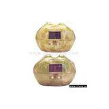 Indoor Oxygen Bar thumbnail-1