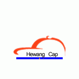 Dongguang Hewang Cap & Bag Industrial Co., Ltd.