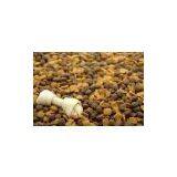 Excellent Quality Pet Food Machine/fish Food Machine/dog Food Machine CE thumbnail-2