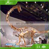 KAWAH Museum Artificial Educational Dinosaur Skeletons For Kids thumbnail-6
