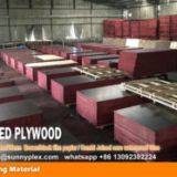 shuttering formwork concrete plywood