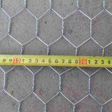 Hot Dip Electro Galvanized Chicken Wire Mesh Hexagonal Mesh With Lowest Price thumbnail-3