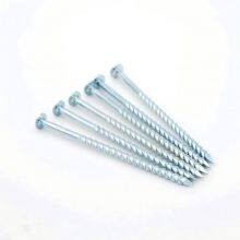 Twisted Shank Nails ASTM F1667 Compliant for Structural Applications thumbnail-1