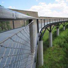 Weiche und flexible Edelstahlseilnetze für Zooanwendungen thumbnail-1