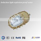 Outdoor Waterproof Power Saving Stable Quality Explosion-proof Led Torch Light 50watt Explosion Proof Light