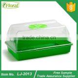 Small Plastic Greenhouses thumbnail-1