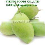 FRESH VIET NAM MANGO HIGHT QUALITY, GOOD PRICE thumbnail-3