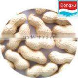 Brand Red Peanut in Shell