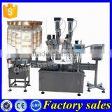 Sales Promotion Automatic Dry Chemical Powder Filling Machine