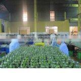 Minh Hien Company Limited company overview - view 3 thumbnail