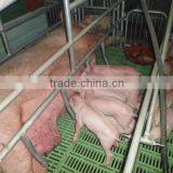 Plastic slatted flooring for pig / poultry farming