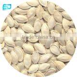 Watermelon Seeds Sale Shine Skin Pumpkin Seeds Wholesale thumbnail-2