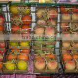 2pcs Apples Candle Set ,Fruit Shape Candle thumbnail-1