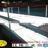 Hot Selling CE,ROhs Approved Blue Led Tube Lighting thumbnail-3