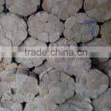 Highly Unified Raw Bamboo Sticks for Incense Making thumbnail-2