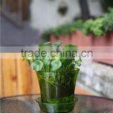 Different Size Wholesale Miniature Plant Pots With Tray thumbnail-5