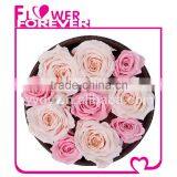 Top Selling Natural Preserved Roses