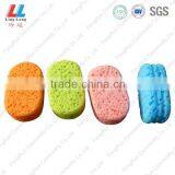 Beauty Cleaning Facial Sponge