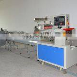 Horizontal Flow Packing Machine Price in India