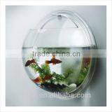 Fashion Design Clear Acrylic Mini Rounded Wall Fish Tank Manufactory