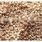 Natural Sesame Seed thumbnail-1