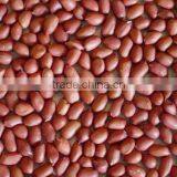 Blanched Peanut Without Skin - Count 38/40 40/50 50/60 thumbnail-2