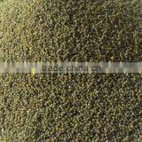 GREEN MILLET IN HUSK FOR BIRD FEEDS thumbnail-3