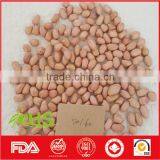 Fresh and New Blanched Peanut Kernel thumbnail-3