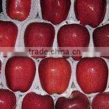 Dark Red Huaniu Apple