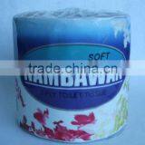 Toilet Paper Rolls thumbnail-1