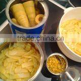 2014 New Crop 2950g Wholesale Canned Bamboo Shoots in Water thumbnail-1