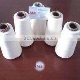 Ne 30/2 Cotton Yarn/ 100% Cotton Carded Unwaxed for Weaving
