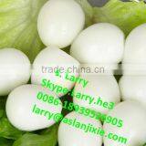 Quail Egg Skin Peeling Machine/quail Egg Peeling Machine thumbnail-6