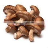 Detan Hot Dried Shiitake Mushrooms thumbnail-6