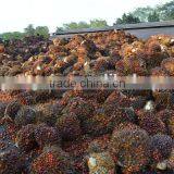 Qie 30TPD~1000TPD CE Certified Small Scale Palm Oil Refining Machinery