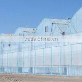 Greenhouse for Agriculture Hydroponics thumbnail-3